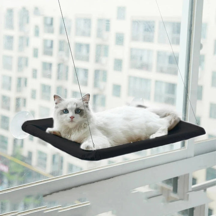 Cat Hammock Bowlift