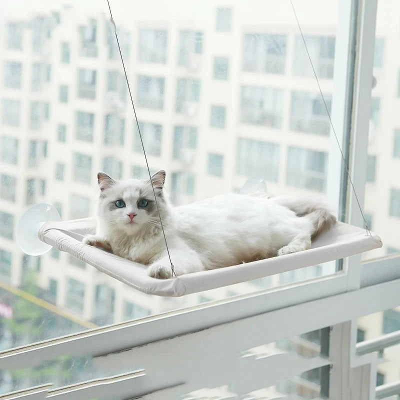 Cat Hammock Bowlift
