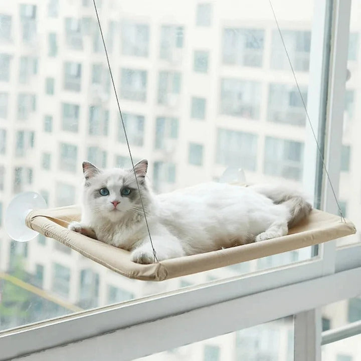 Cat Hammock Bowlift