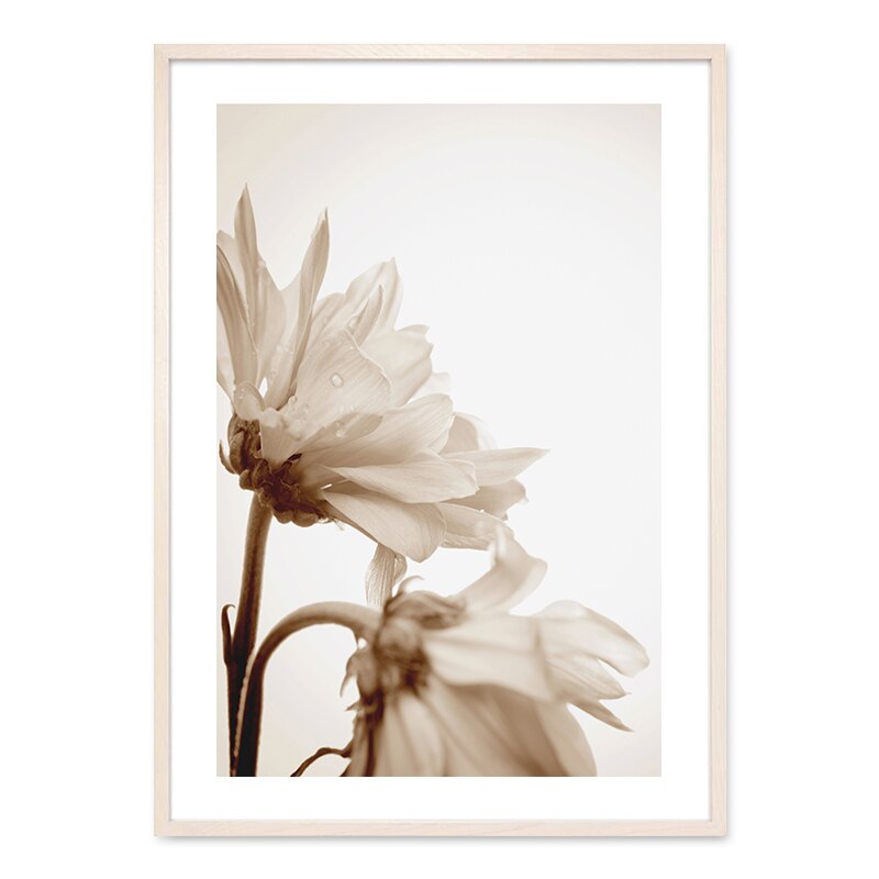 Bohemian Style Blush Flower Petal - Canvas Wall Art Print | Bowlift
