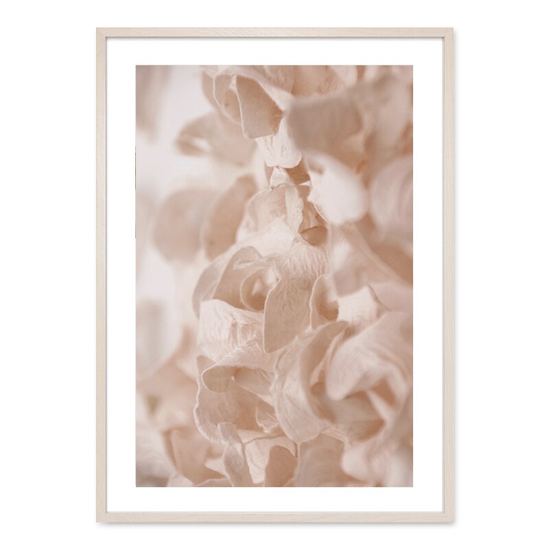 Bohemian Style Blush Flower Petal - Canvas Wall Art Print | Bowlift