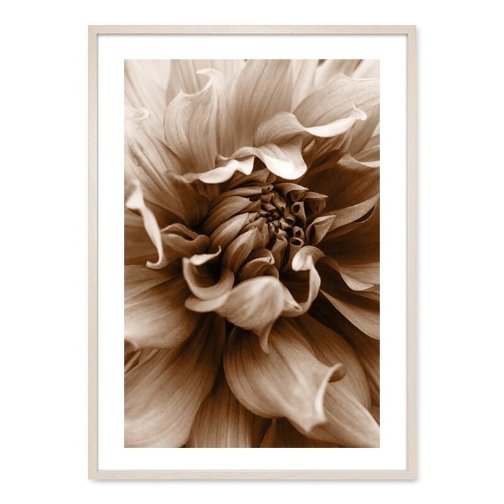 Bohemian Style Blush Flower Petal - Canvas Wall Art Print | Bowlift