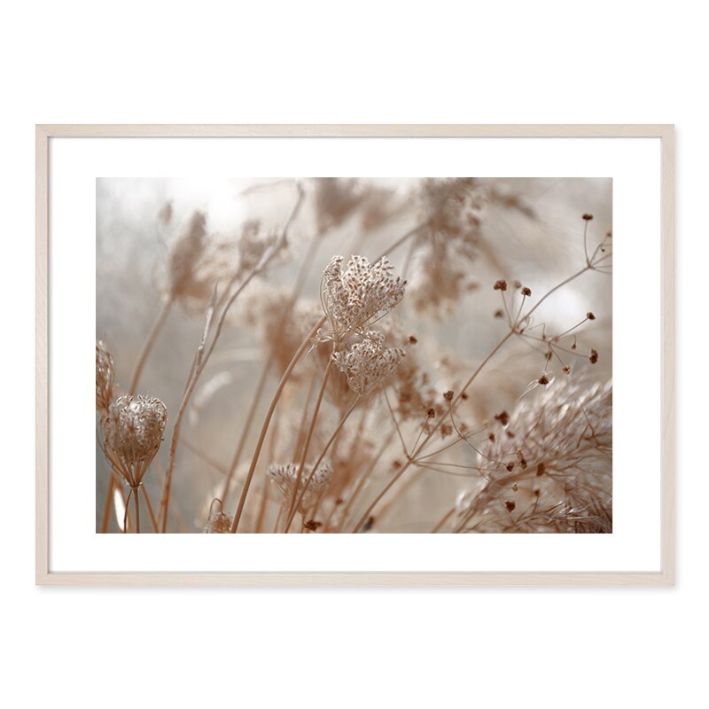 Bohemian Style Blush Flower Petal - Canvas Wall Art Print | Bowlift