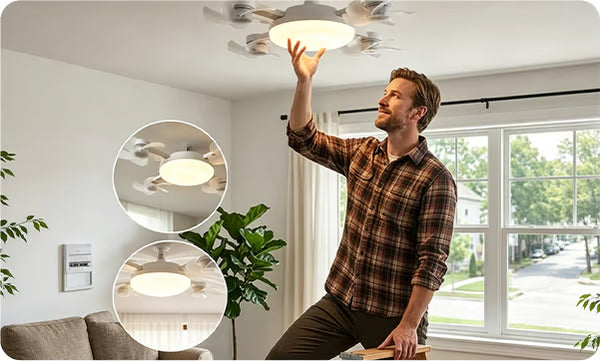 BowLift | Remote Control Ceiling Fan Light
