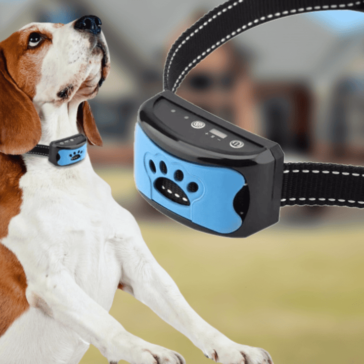 BowLift | Painless Anti-Bark Collar – Vibrations & Ultrasound for Dogs