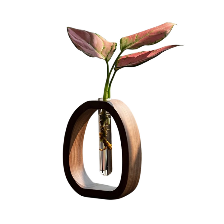 BowLift | BloomLoop