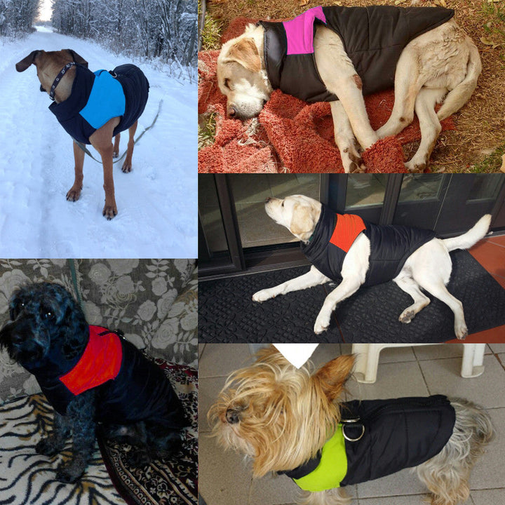 Warm and Water-Repellent Dog Coat - WarmPaws Bowlift