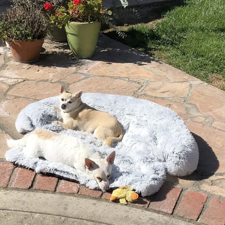 Washable Pet Sofa Blanket - PlushNest Bowlift