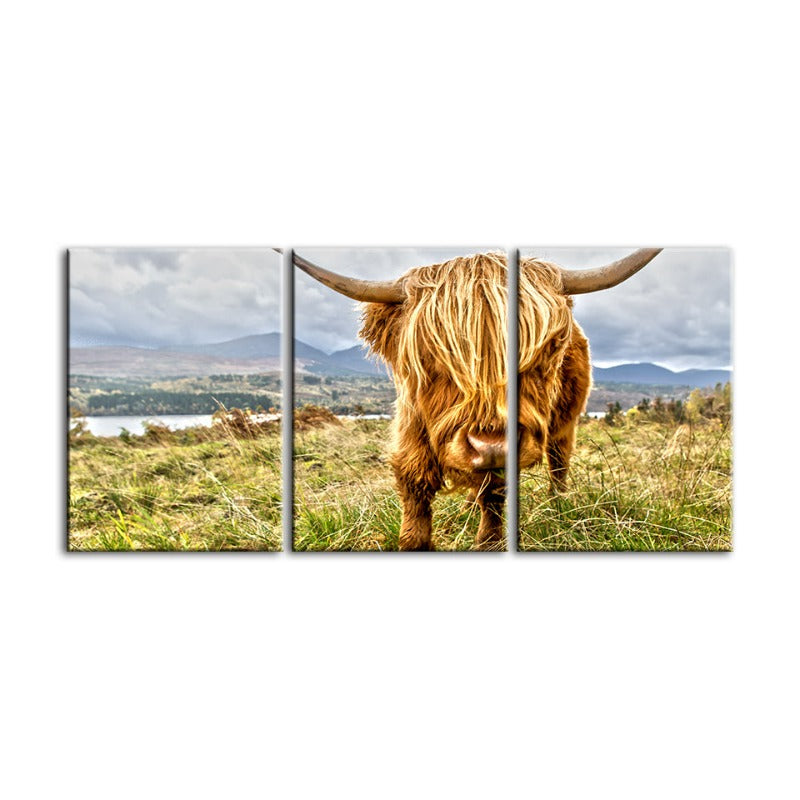 Cute Wild Cow-Canvas Wall Art Painting 3 Pieces | Bowlift