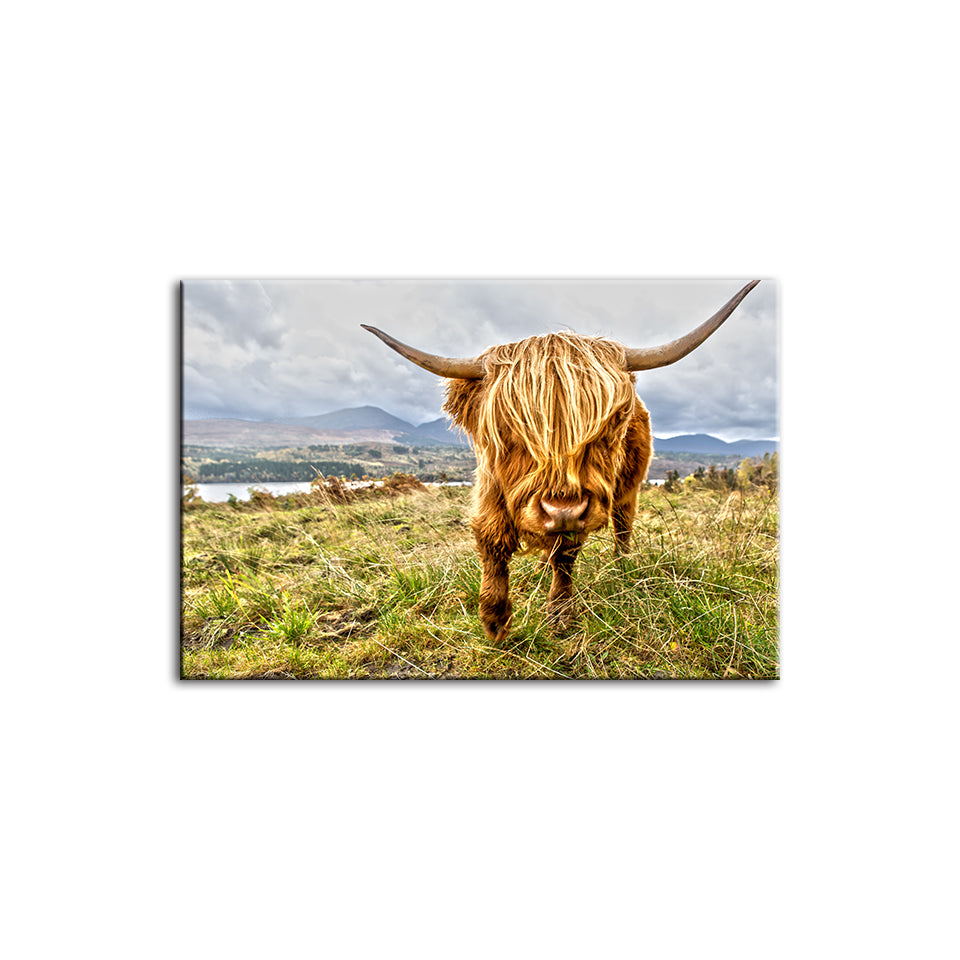 Cute Wild Cow - Canvas Wall Art Painting | Bowlift