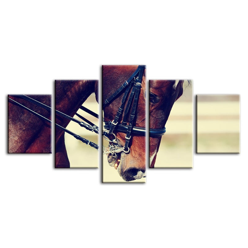 5 Piece Graceful Haltered Horse - Canvas Wall Art Painting | Bowlift