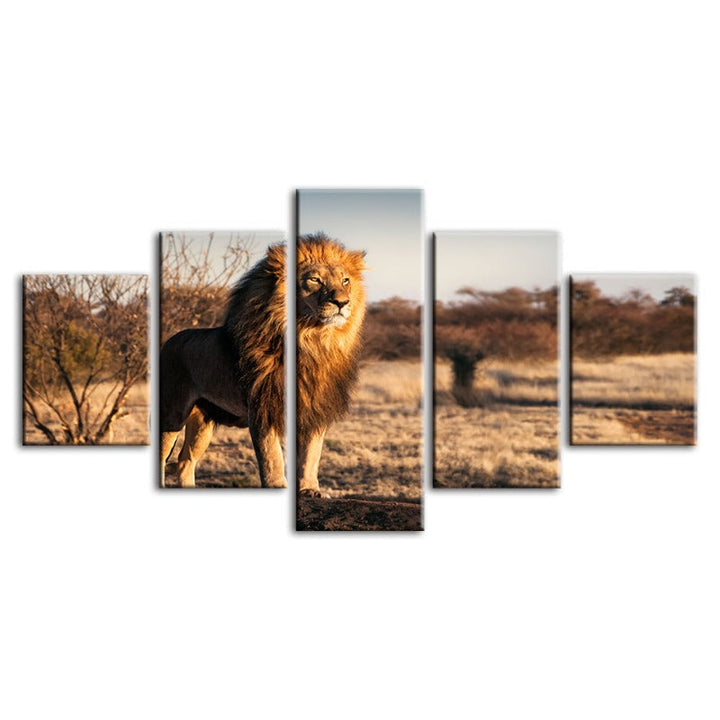 5 Piece Majestic Lion Bathed In Sunlight - Canvas Wall Art Paintings | Bowlift