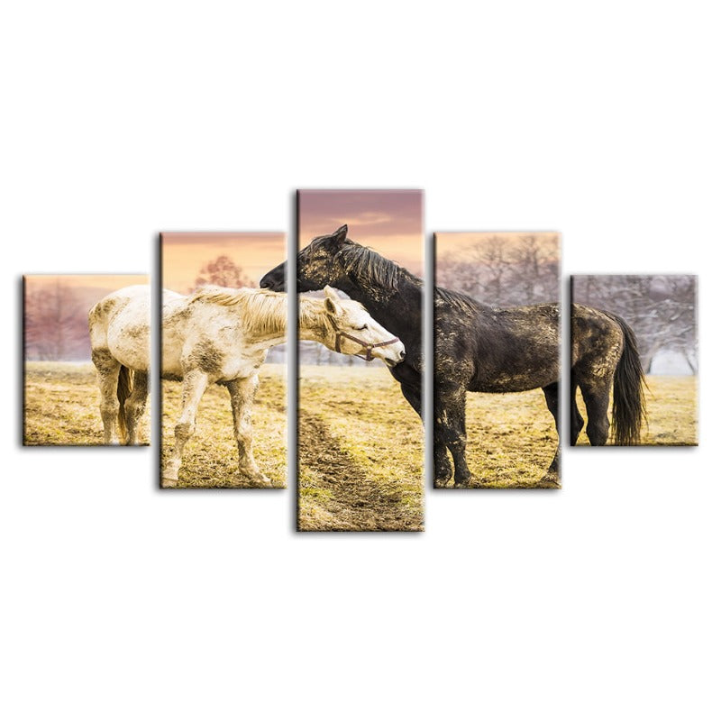 5 Piece Black & White Horses - Canvas Wall Art Painting | Bowlift