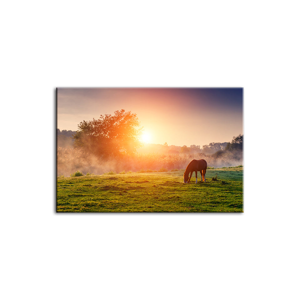 Sunrise Grazing Horse - Canvas Wall Art Painting | Bowlift