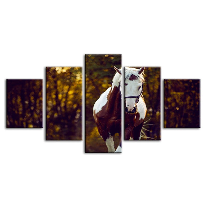 5 Piece Courtly Overo Horse - Canvas Wall Art Painting | Bowlift