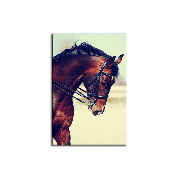 Graceful Haltered Horse - Canvas Wall Art Painting | Bowlift