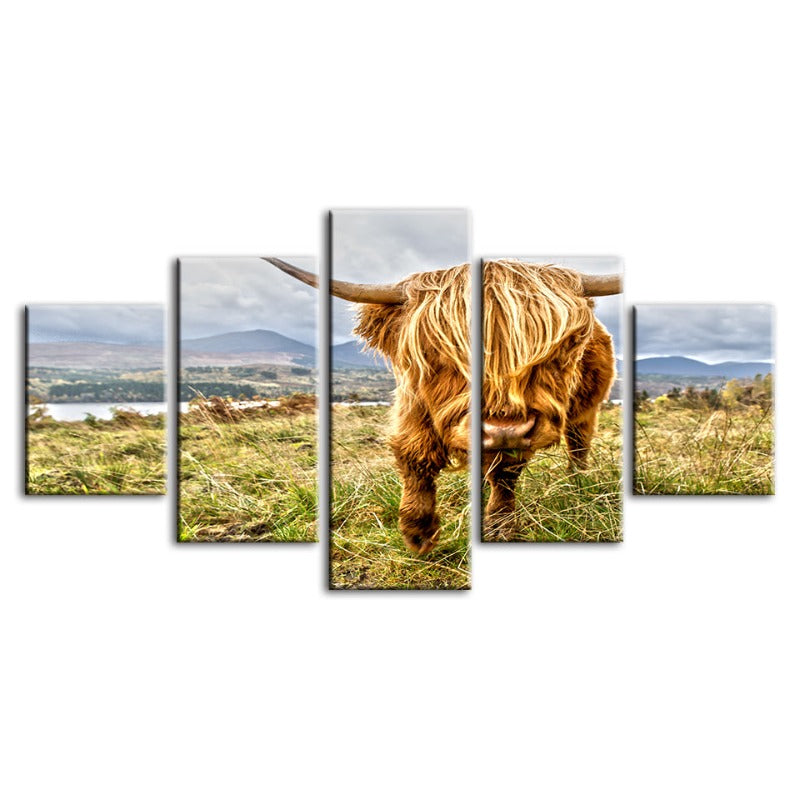 5 Piece Wild Cow - Canvas Wall Art Painting | Bowlift