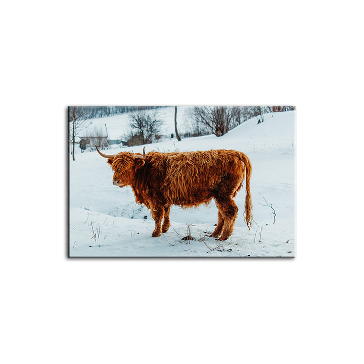 Curly Haired Cow - Canvas Wall Art Painting | Bowlift