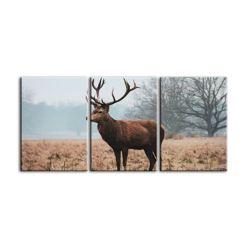 Regal Deer In The Plains-Canvas Wall Art Painting 3 Pieces | Bowlift