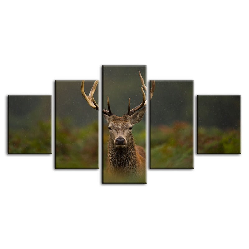 5 Piece Curios Deer Amongst Ferns - Canvas Wall Art Painting | Bowlift