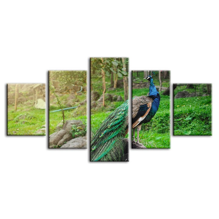 5 Piece Dignified Sunlit Peacock - Canvas Wall Art Painting | Bowlift