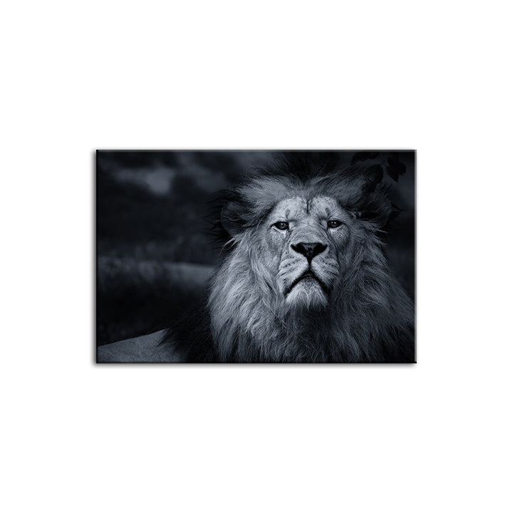 Grayscale Concerned Lion - Canvas Wall Art Painting | Bowlift