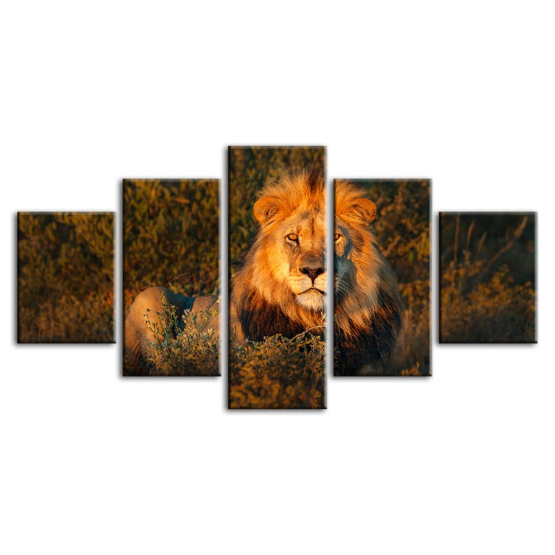 5 Piece Divine Sunset Lion - Canvas Wall Art Painting | Bowlift
