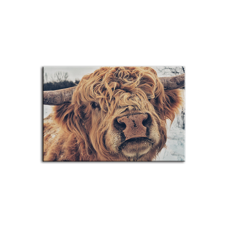 Close Up Brown Cow - Canvas Wall Art Painting | Bowlift