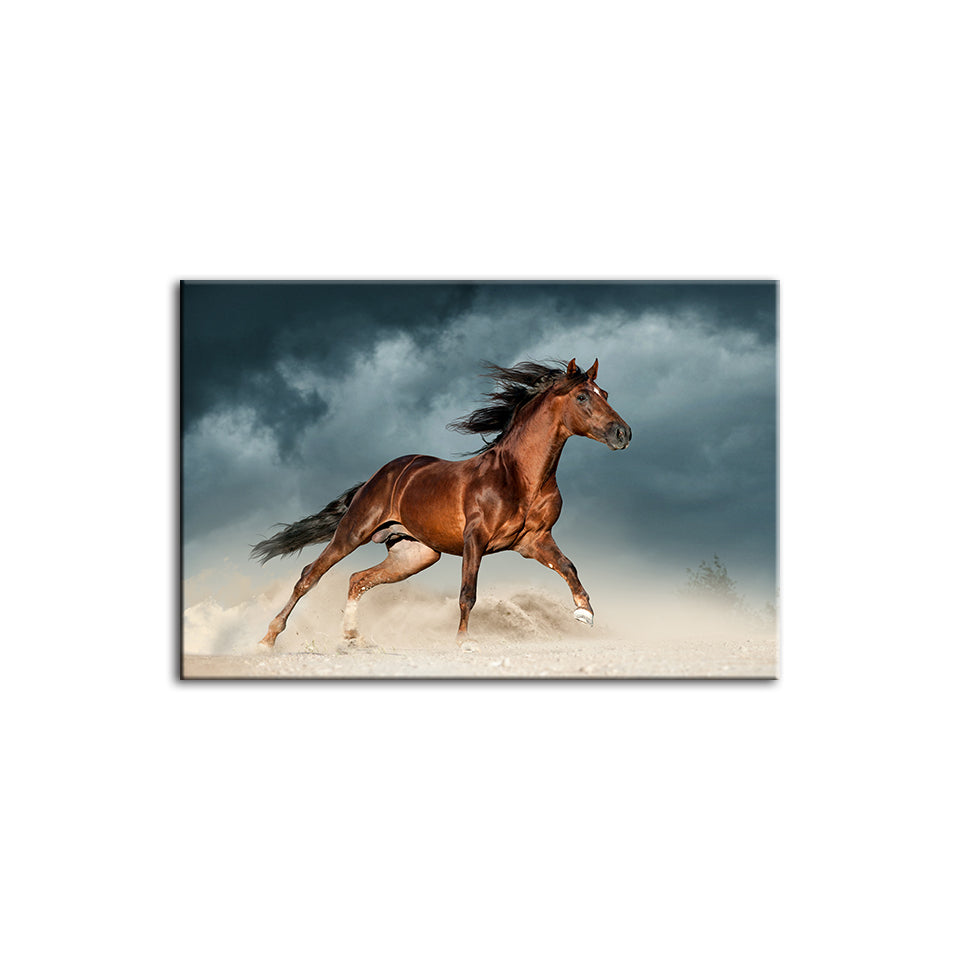 Brown Horse In Desert- Canvas Wall Art Painting | Bowlift