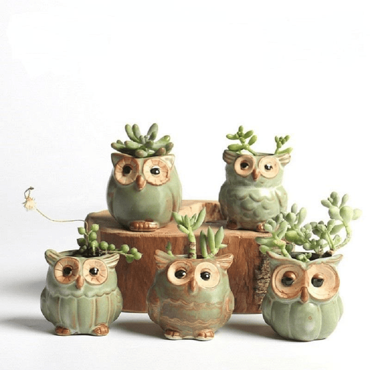 BowLift | Owls Ceramic Flower Pot Set 5-piece