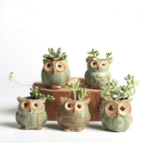 BowLift | Owls Ceramic Flower Pot Set 5-piece