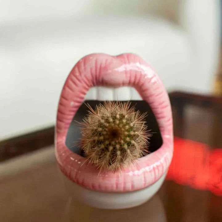 BowLift | Patty - Unique lip-shaped plant pot