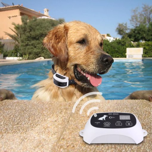 BowLift | Wireless Dog Fence Collar System | Waterproof, Rechargeable & Ideal for Home Training and Outdoor Adventures