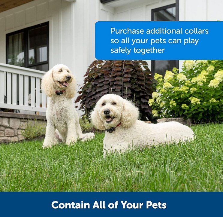 BowLift | Wireless Dog Fence System – Rechargeable Waterproof Collar for Safe Boundaries