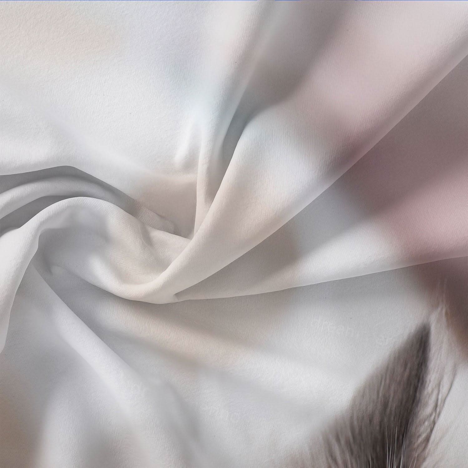 BowLift | Cotton Cat Motif Bedding Set – 3 Pieces