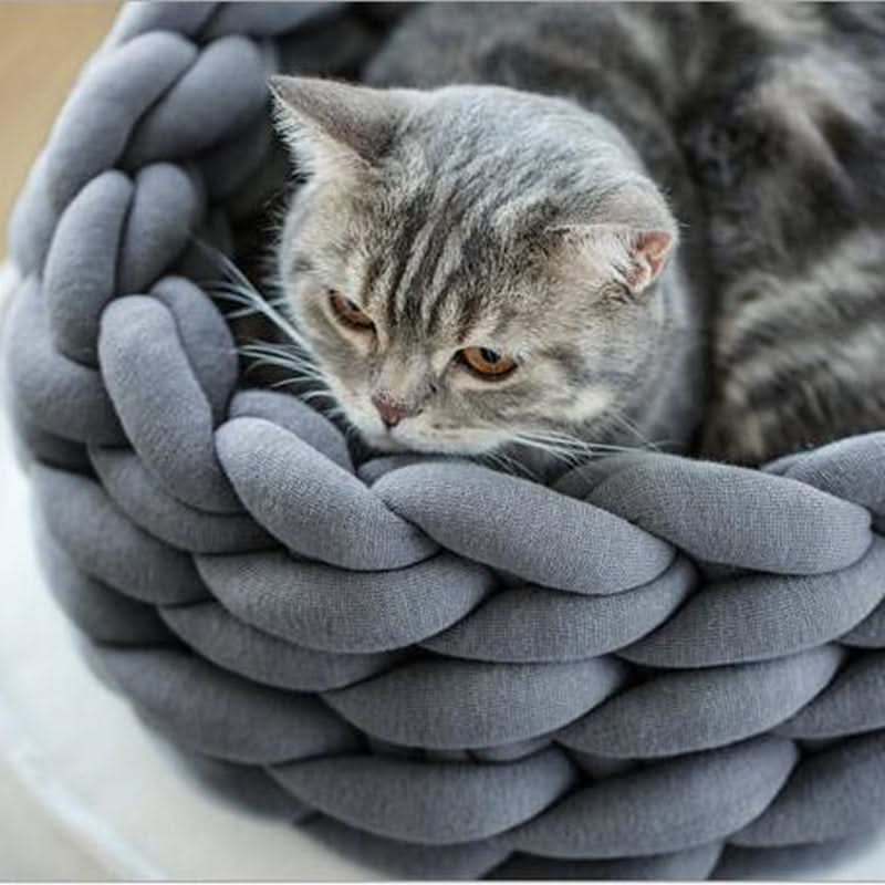 BowLift | Soft wool basket for pets with supportive edge shape