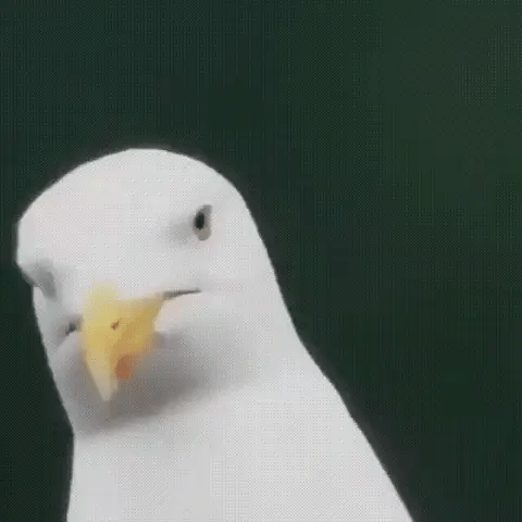 BowLift | Compact 600x Ultra-Zoom Monocular | HD Lens, Lightweight & Perfect for Hiking, Birdwatching, and Sports Events