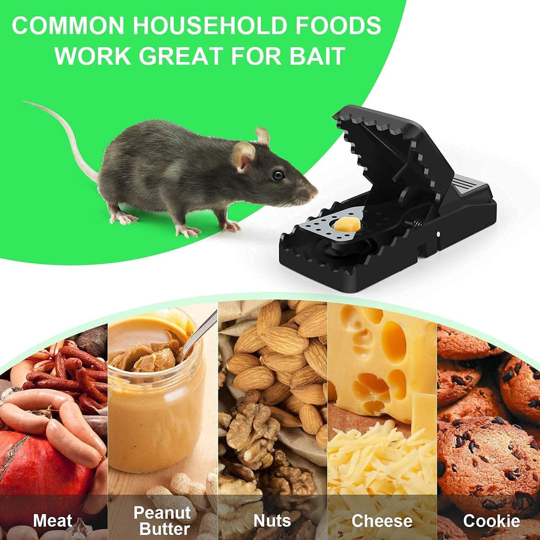 BowLift | Reusable Mouse Trap