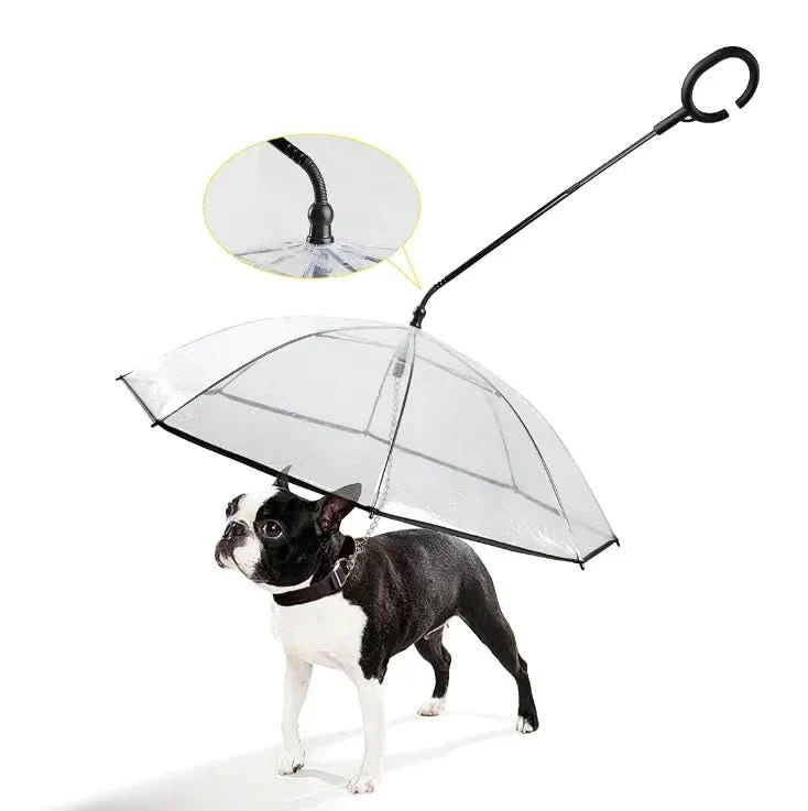 BowLift | Transparent Dog Umbrella for Dry Walks in the Rain