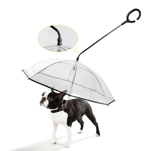 BowLift | Transparent Dog Umbrella for Dry Walks in the Rain